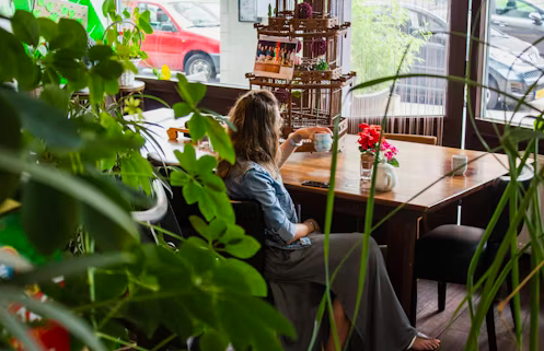 Inside Out Wellness: Exploring the Latest Trends in Detoxification
