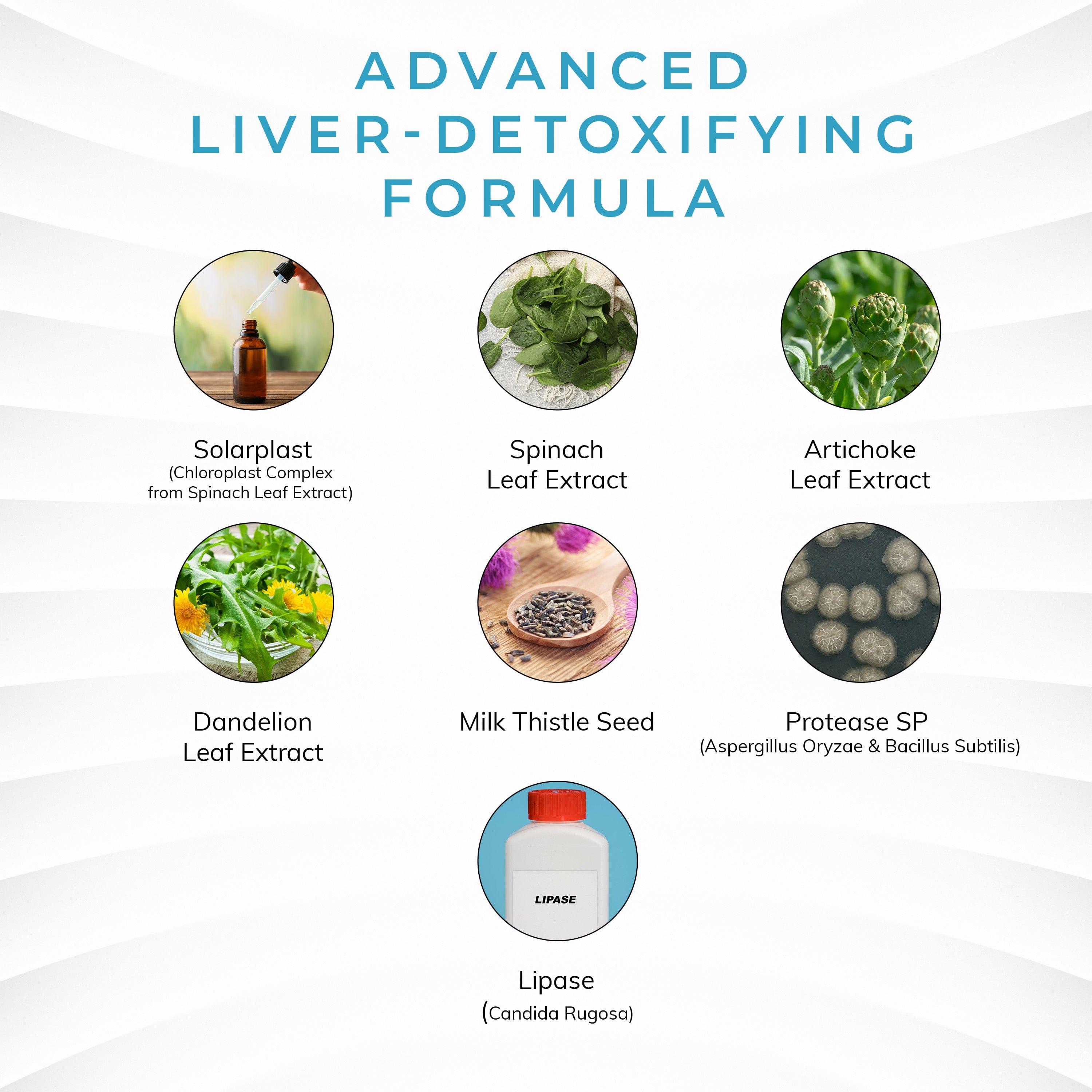 Liver Detox Supplements - 60 Capsules - 300 mg Solarplast Spinach Leaf Extract, Artichoke Leaf, Milk Thistle Seed for Liver Cleanse Detox & Repair and Smoother Digestion by LA Cleanse