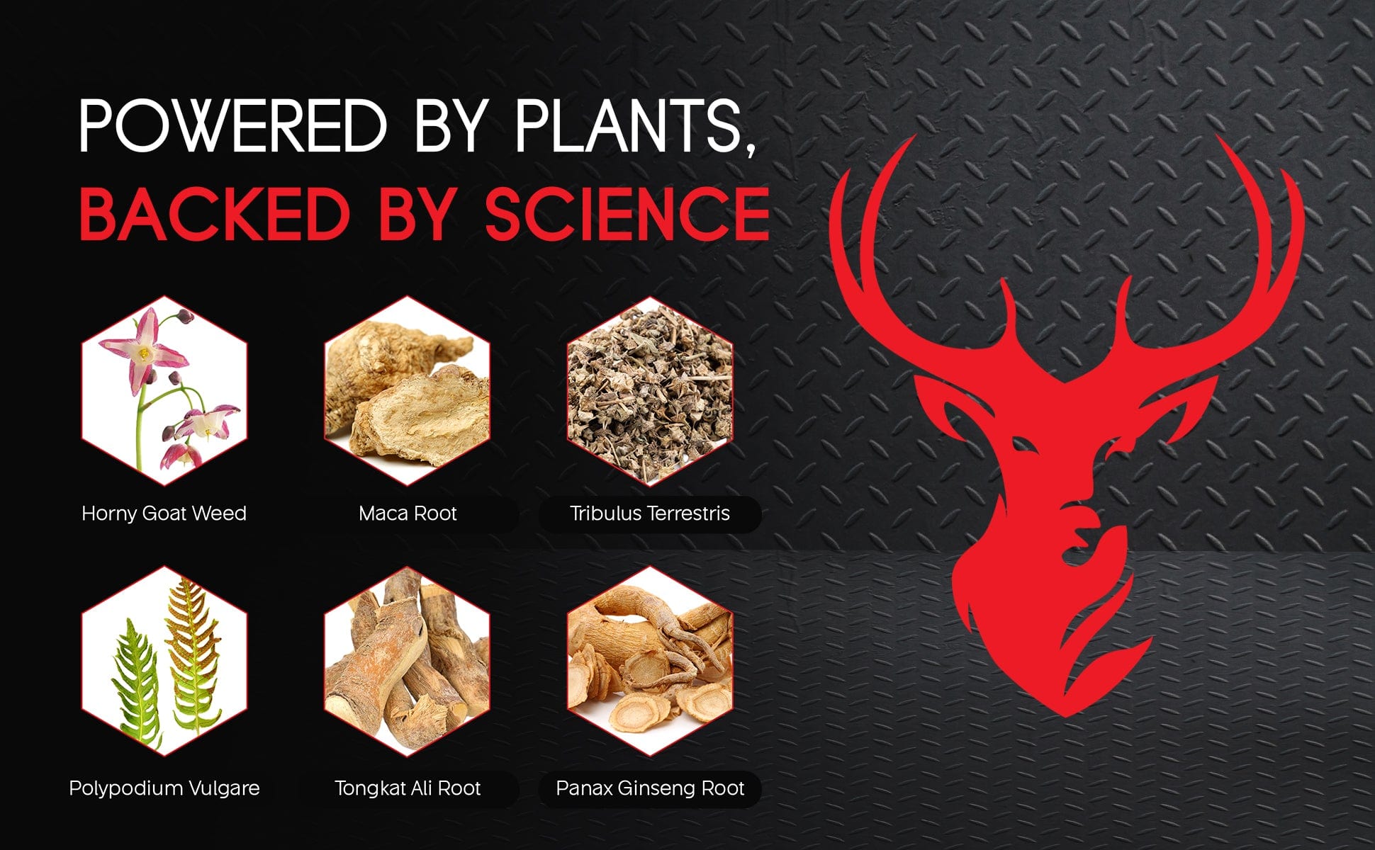 RED STAG® Supplement for Men - Red Stag HG Ultra Horny Goat Weed Extract with Maca Root Powder, Tribulus Terrestris, Saw Palmetto & Tongkat Ali Powder for Low T & Male Enhancement