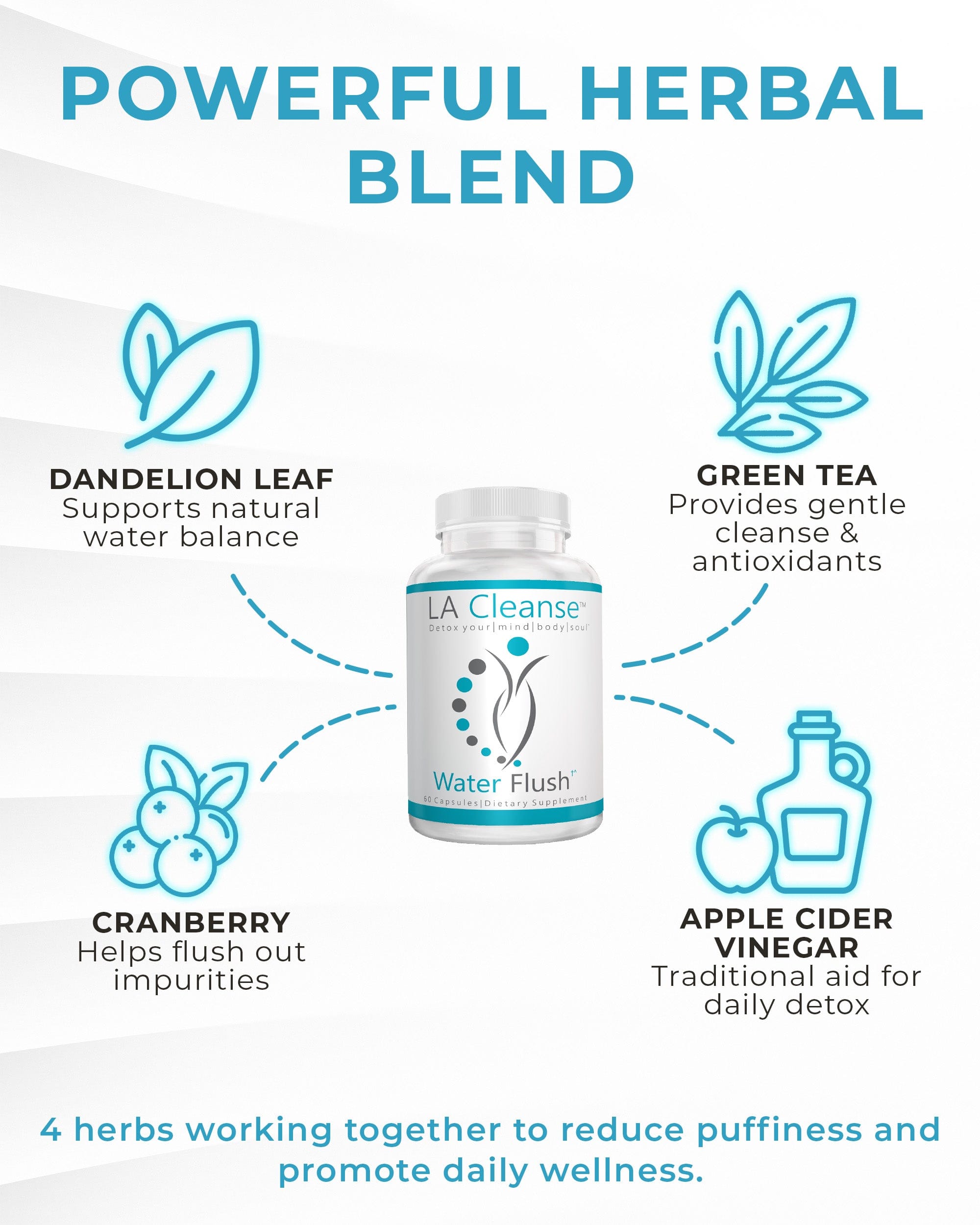 Water Flush Water Away Diuretic Pill with Dandelion Leaf, Green Tea, Cranberry, Potassium, and Apple Cider Vinegar – Supports Water Balance and Bloating Relief – 60 Capsules